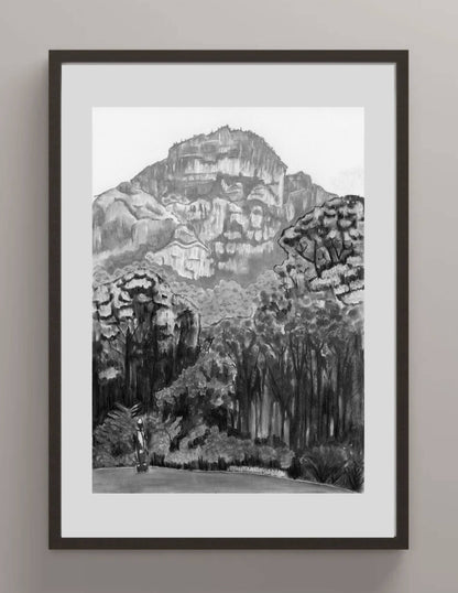 Kirstenbosch Forrests | Print