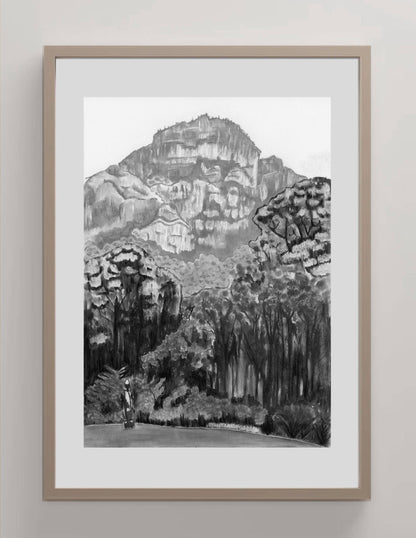 Kirstenbosch Forrests | Print