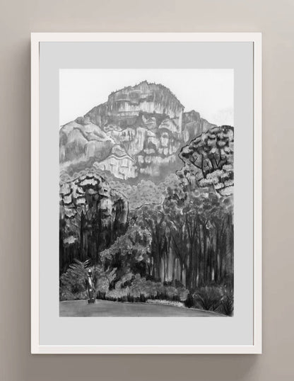 Kirstenbosch Forrests | Print