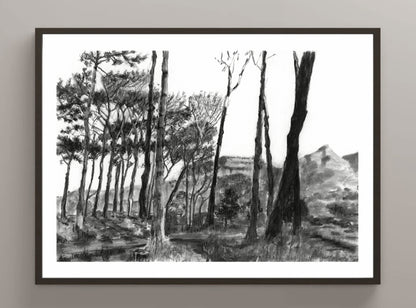 Keurboom shadows | Print