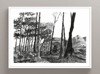 Keurboom shadows | Print